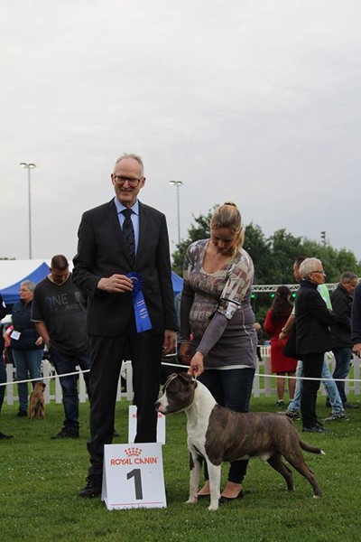 Daydreamers Hondenfokker Kerkrade