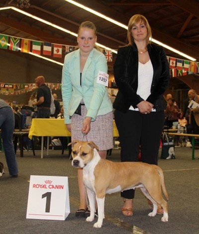 Daydreamers Hondenfokker Kerkrade