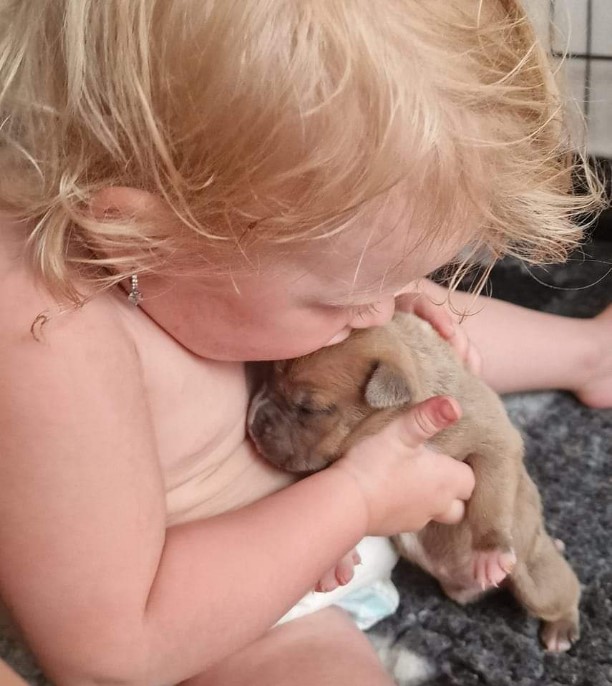 Screenshot 2023-06-01 161733